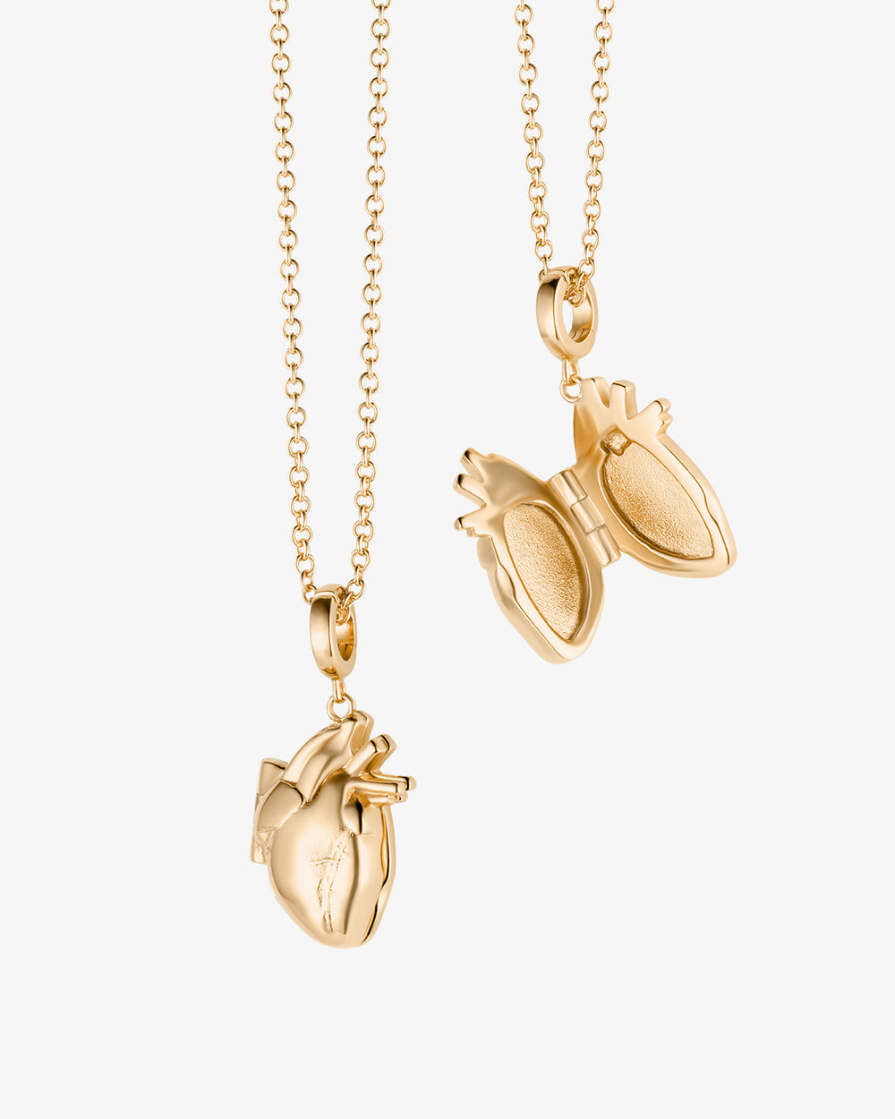 Anatomical Heart Locket Necklace